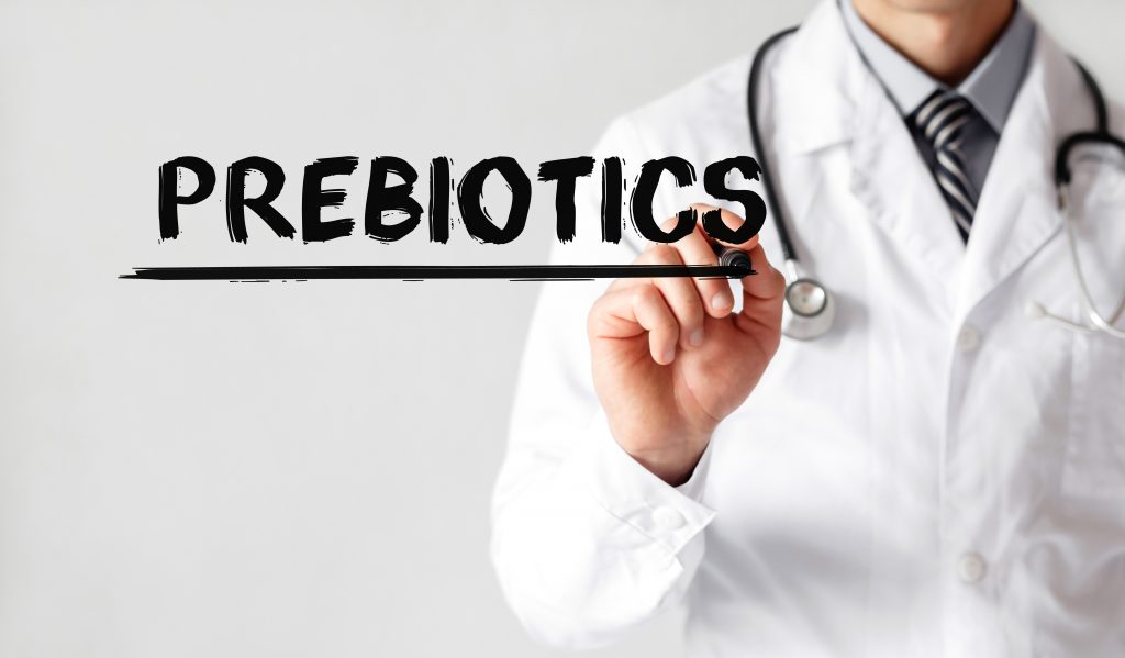 prebioticos y diferencia con probioticos