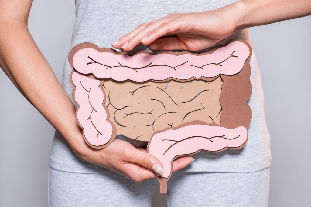 intestino permeable